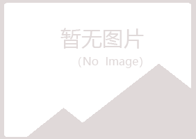 鹤山匆匆能源有限公司